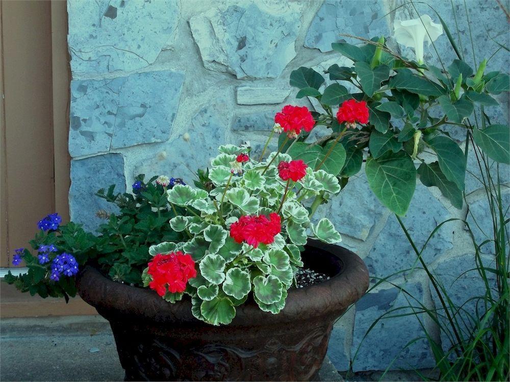 Au Gite De La Chute Saint-Jean-de-Boischâtel Екстериор снимка